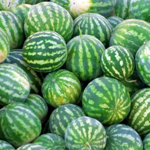 watermelon-1